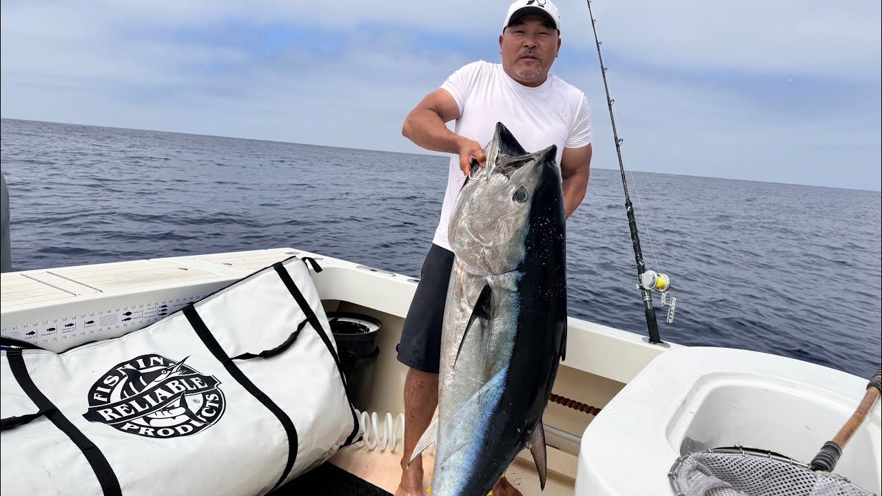 Unbelievable Catches: Whitefish and Jumbo Bluefin Tuna at San Nicolas and Santa Barbara Islands!