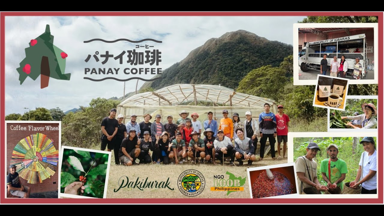 Panay Coffee Harvesting Camp 2026