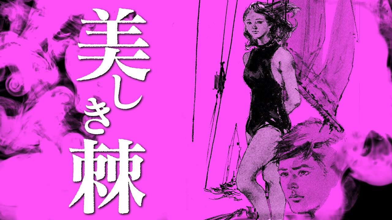【朗読】美しき棘【昭和ヤングドラマ劇場】