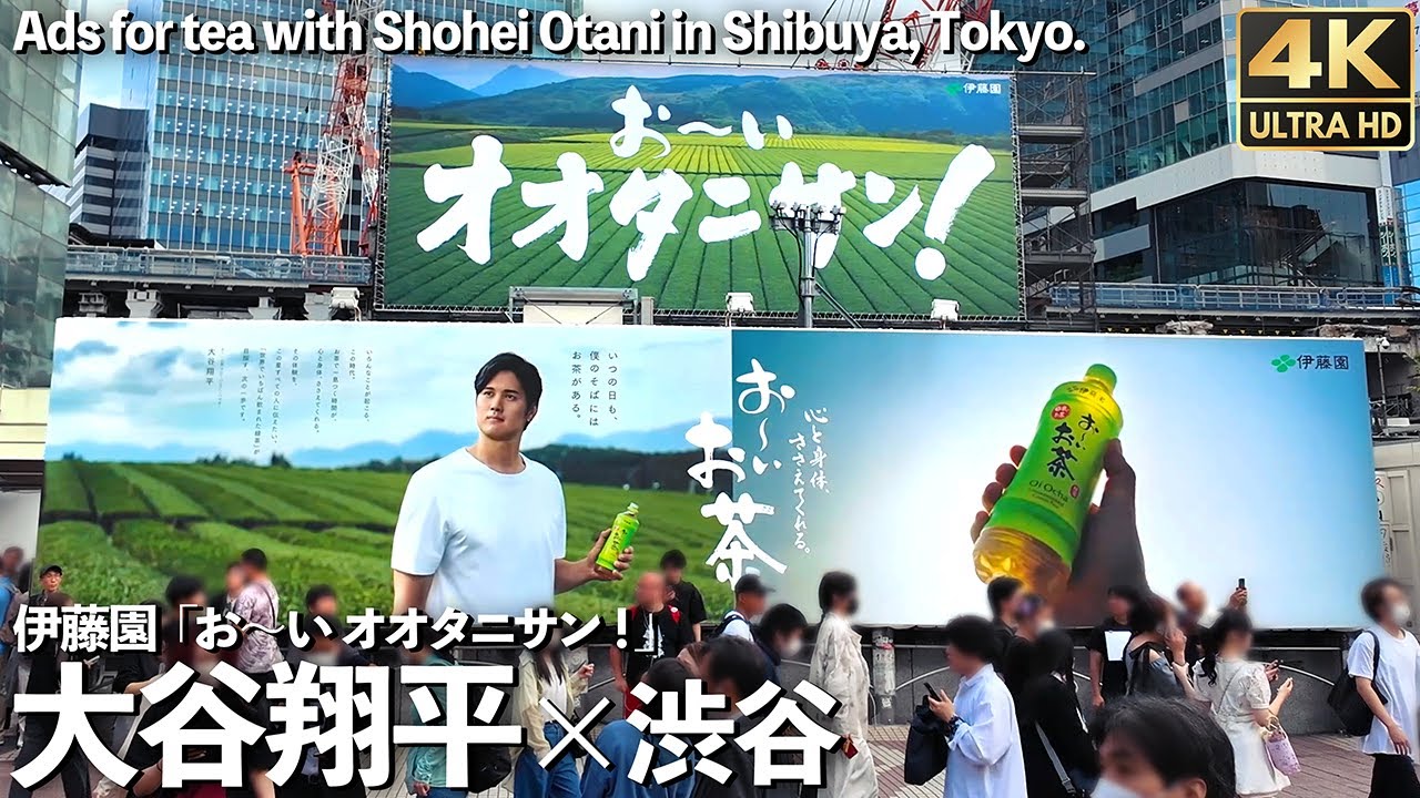 [4K]🇯🇵 大谷翔平 × お〜いお茶 渋谷をジャック 「お〜いオオタニサン」 巨大広告 / Shohei Otani, in a huge ad in Shibuya, Tokyo.
