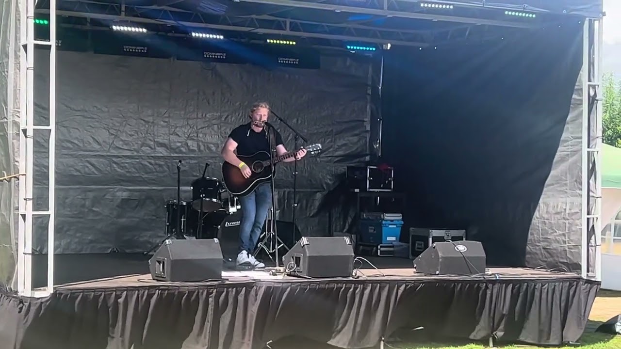 Amazing soloist guitar harmonica stomp box live music available for bookings 23/24