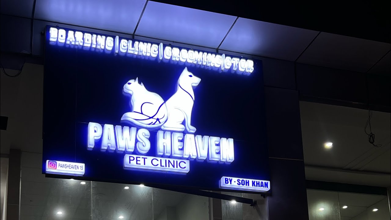 PAWS HEAVEN opening ceremony (Let make this world better for animals)