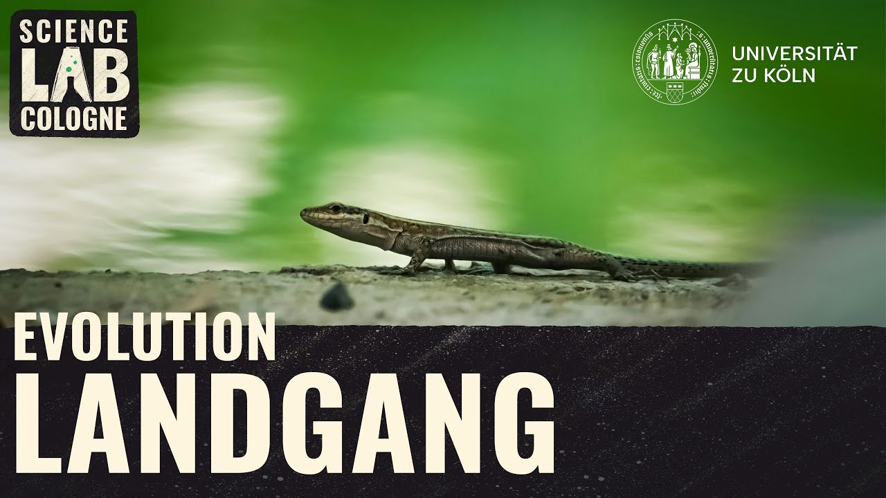 Evolution: Landgang der Wirbeltiere