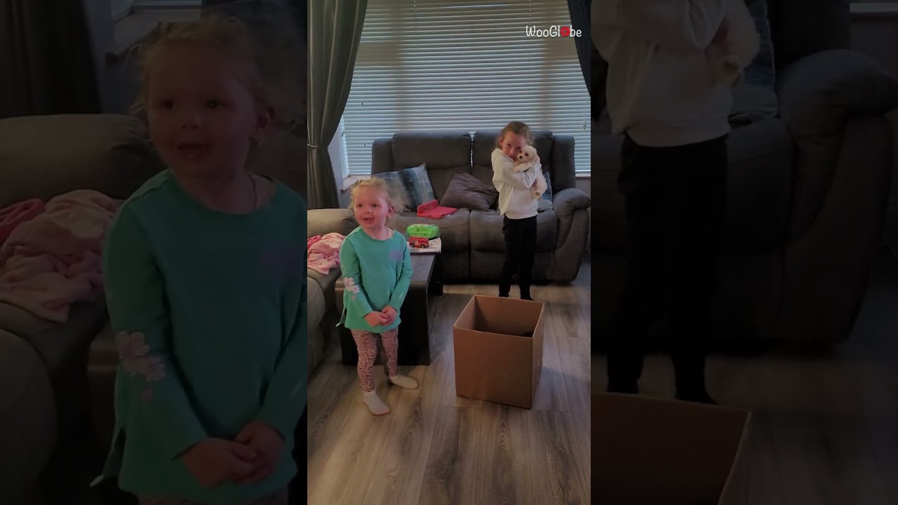 Sisters who wished for a dog get a puppy surprise from parents *Wholesome* || WooGlobe