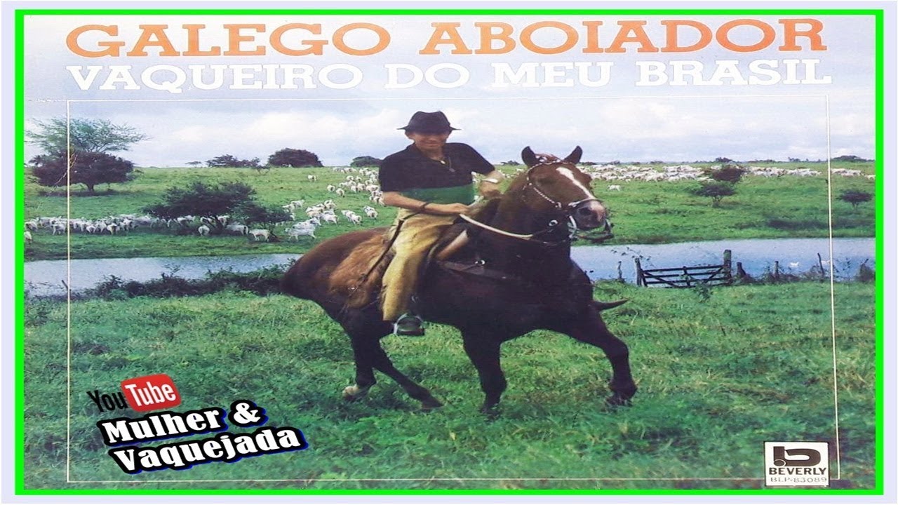 Galego Aboiador - RARIDADE