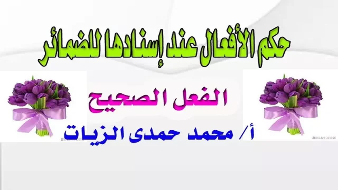 حكم الأفعال عند إسنادها للضمائر - الدرس 14 صرف