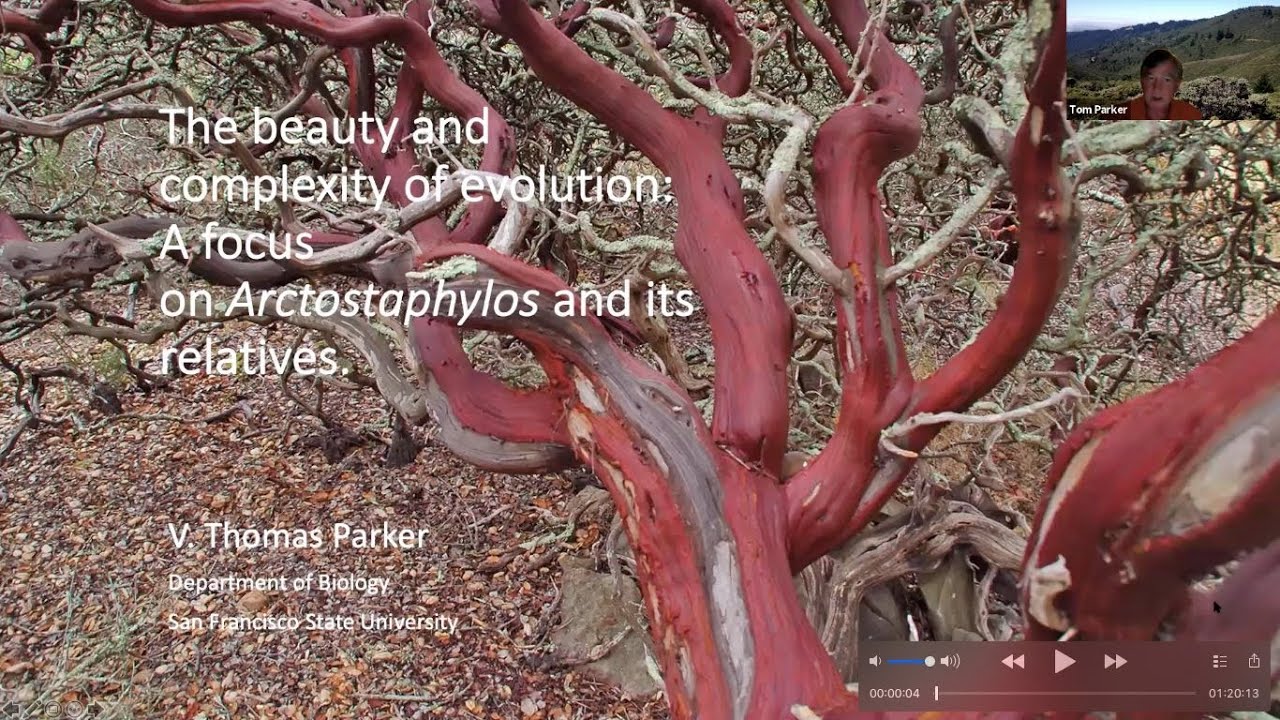 Manzanitas-The Beauty and Complexity of Evolution