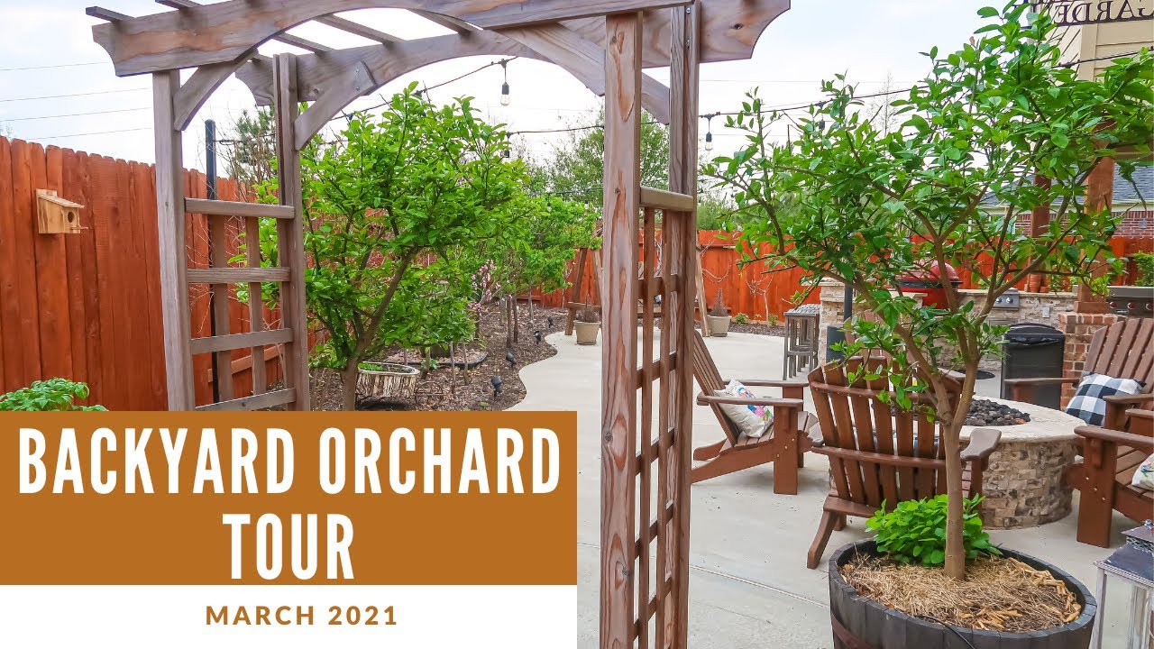 Backyard Orchard Tour | UPDATE after Snow Storm | March 2021