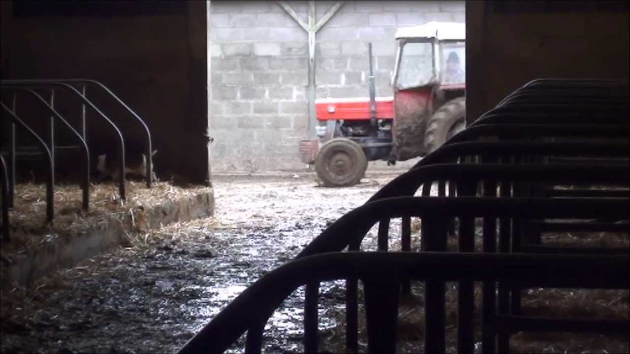 Yard scraping with a Massey Ferguson 135 and Twose scraper