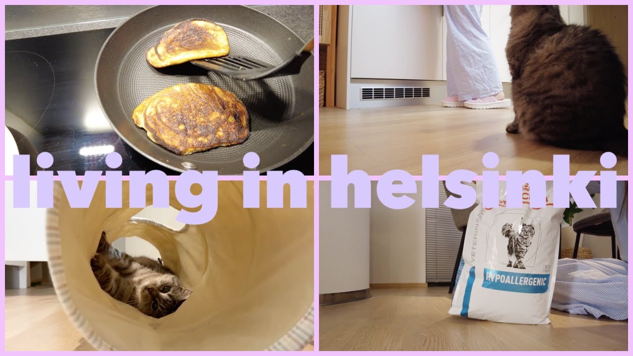 My ordinary life in Helsinki | Cat dental surgery & recovery | A cozy home vlog