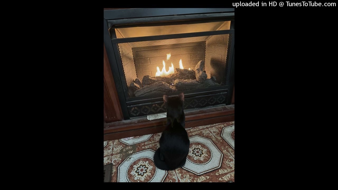 Kitty Cat Void