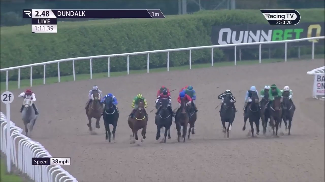Manhattan Dandy Dundalk Nov 26 2025