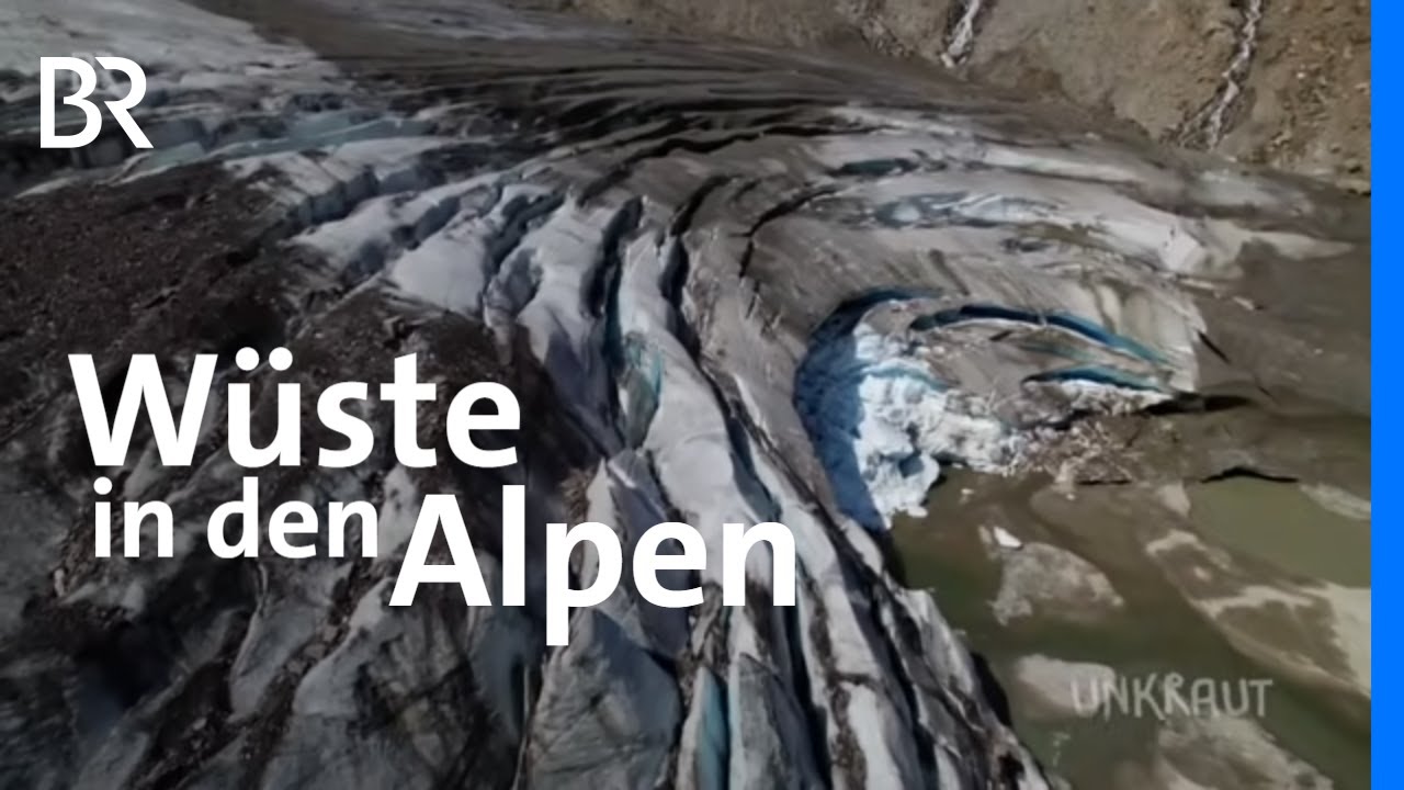 Hei&szlig;zeit: Bedrohte Natur in den Alpen | Unkraut | BR