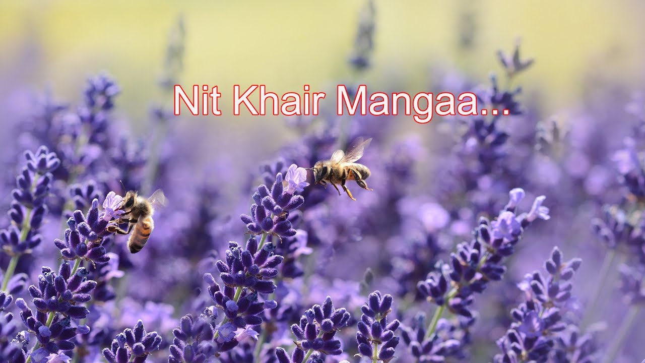 Nit Khair Mangaa...