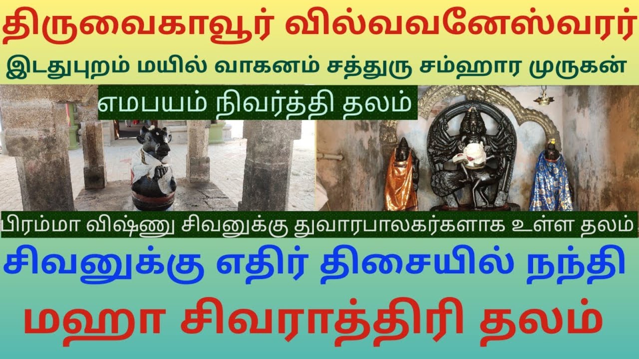 திருவைகாவூர் சர்வஜனரக்ஷகி சமேத வில்வவனேஸ்வரர் கோயில் | எமபயம் நிவர்த்தி தலம் | Thiruvaikavur