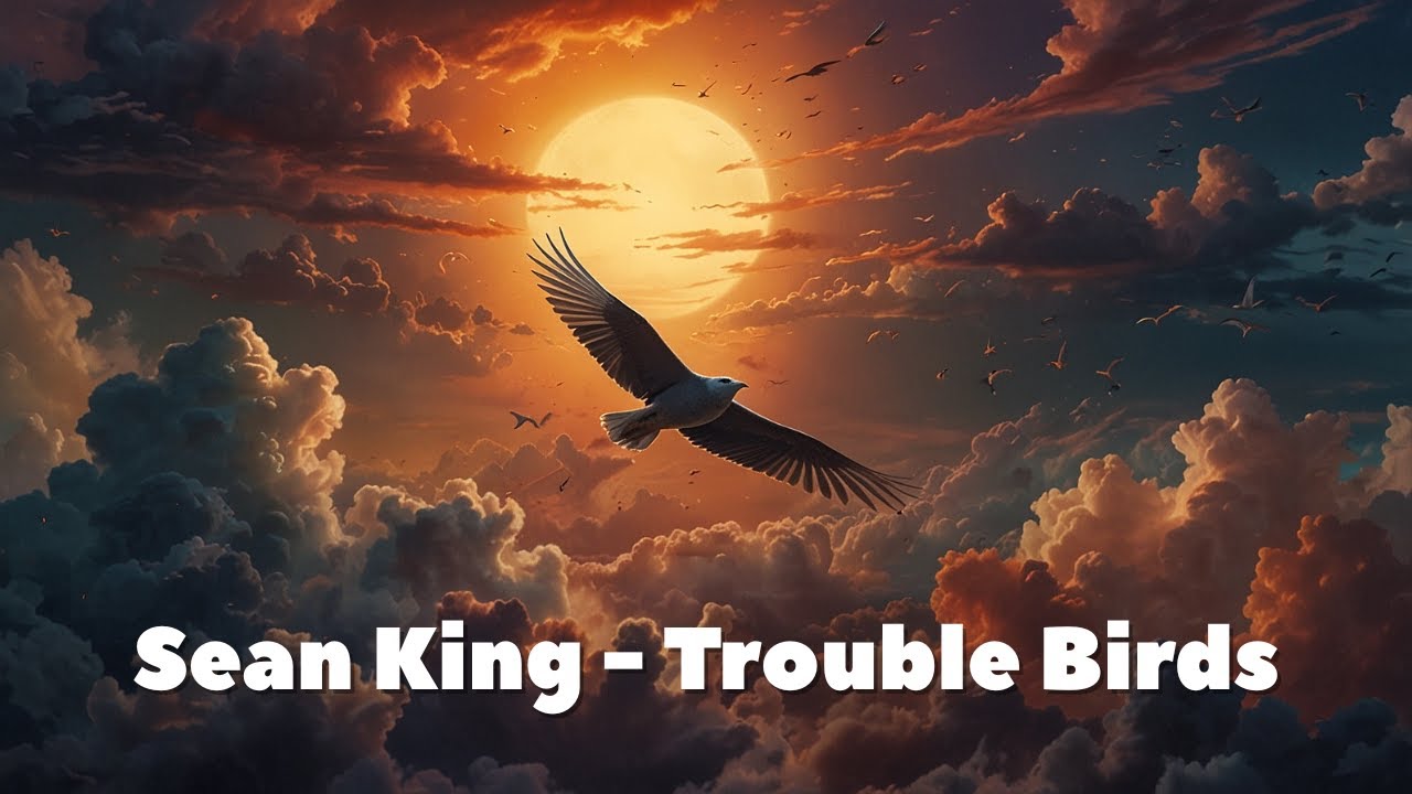 Sean King - Trouble Birds
