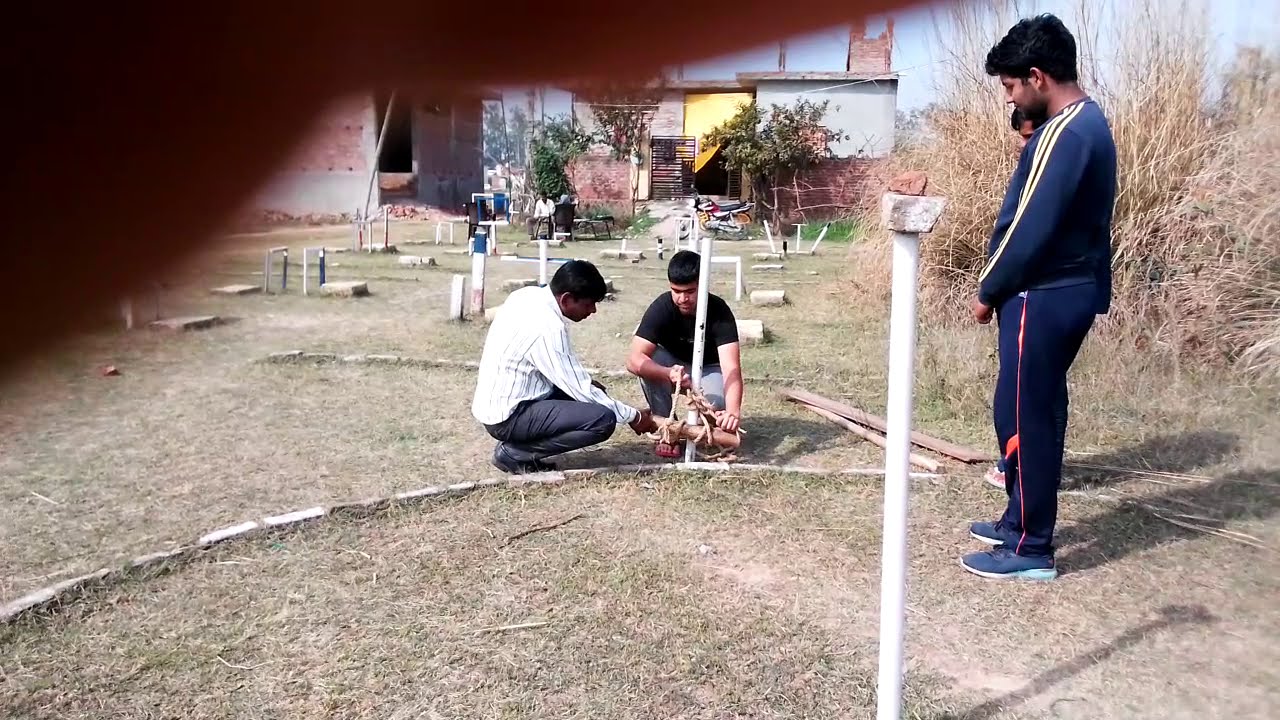 Command Task on Progress SSB Interview