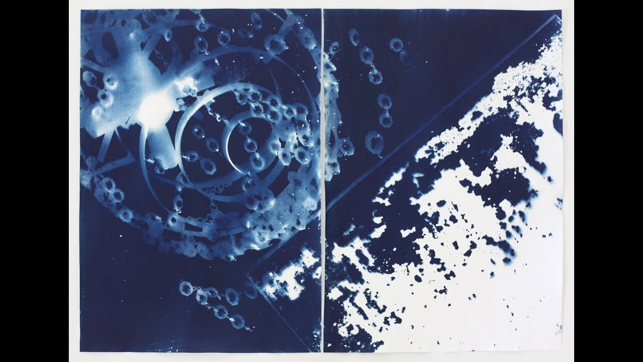 CAMERALESS/LENSLESS: Vanessa Albury's Cyanotypes