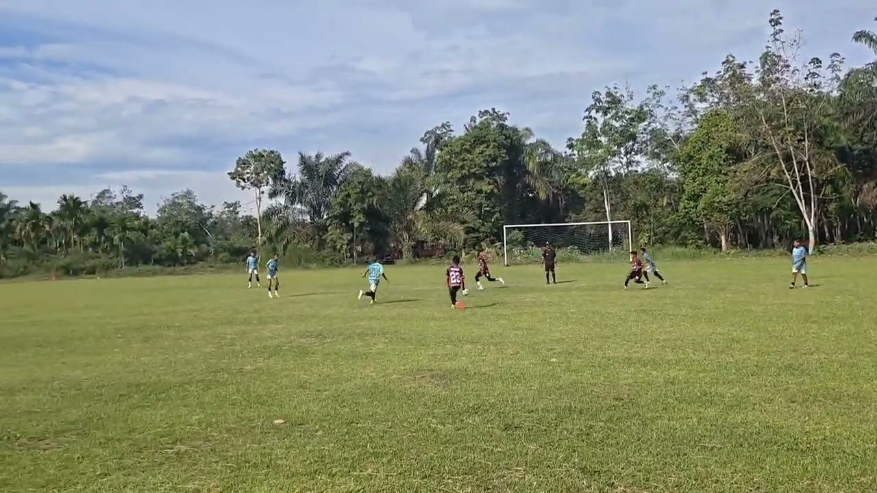 SSB TBA V DUOSWARNA