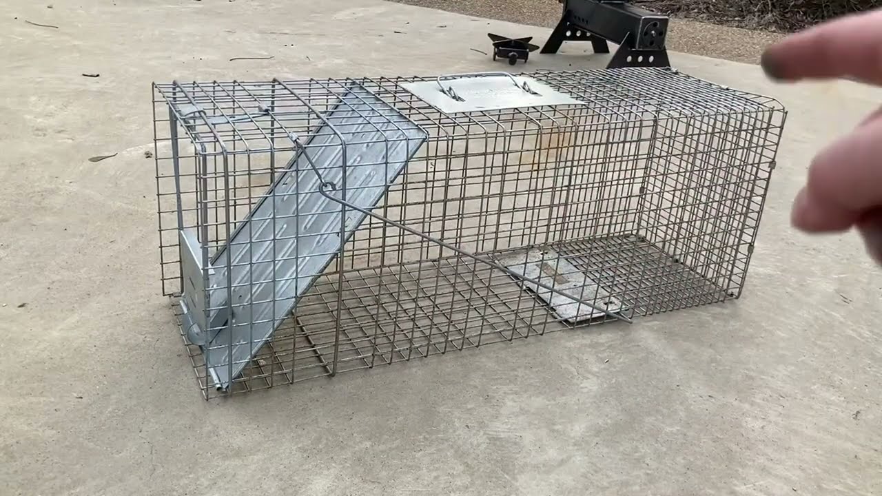 Havahart 1079SR Large 1 Door Humane Catch and Release Live Animal Trap Review