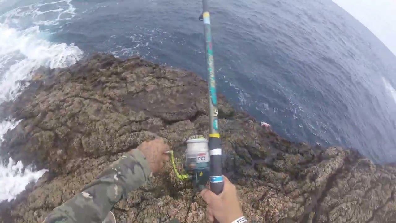 PARGO BOCINEGRO📽🇺🇦 con los anzuelos k la Piba se encuentra en los peskeros tirados👌😄🤙💯🎣🐟2️⃣0️⃣2️⃣6️⃣