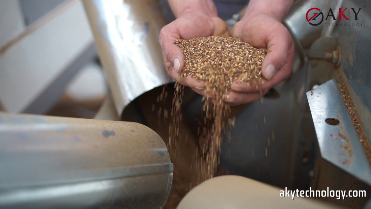 Sesame Seed Processing Plant - AKY Technology