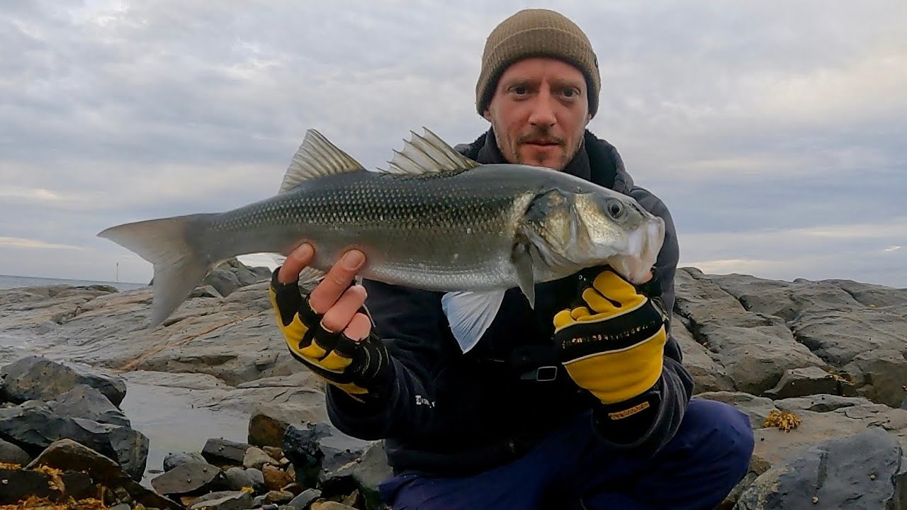 LURE FISHING FOR BASS | BASS 3 WAYS | CATCH & COOK