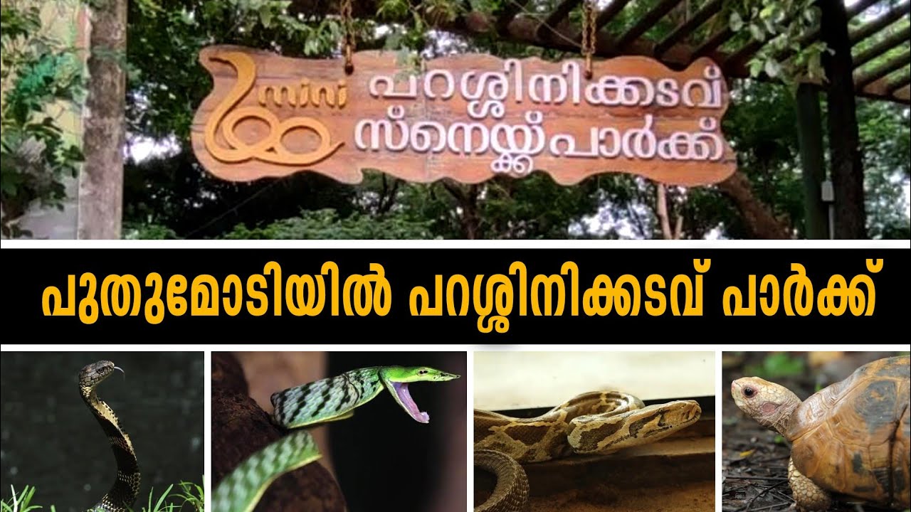 MVR Snake Park & Zoo Parassinikadavu Kannur | പാമ്പ് വളർത്തൽ കേന്ദ്രം | Marine Aquarium