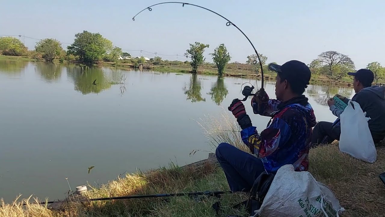Mancing Liaran Mujair Tlocor...