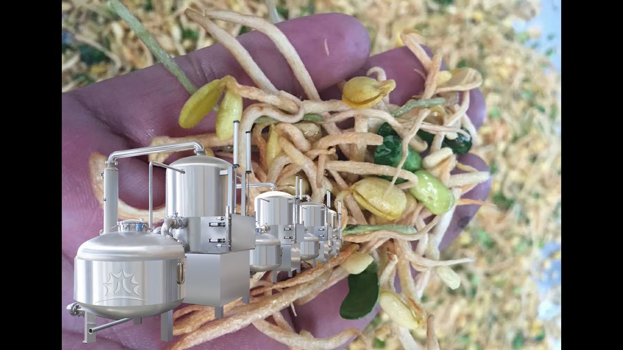 French Fries Vacuum Chips Frying Machine
