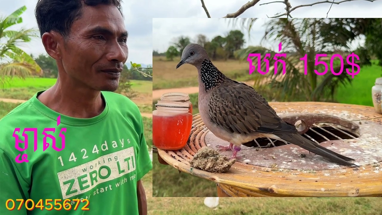 ថ្ងែនេះមកជួយថតលក់លលកជូនបងប្រុសម្នាក់នៅធាយ