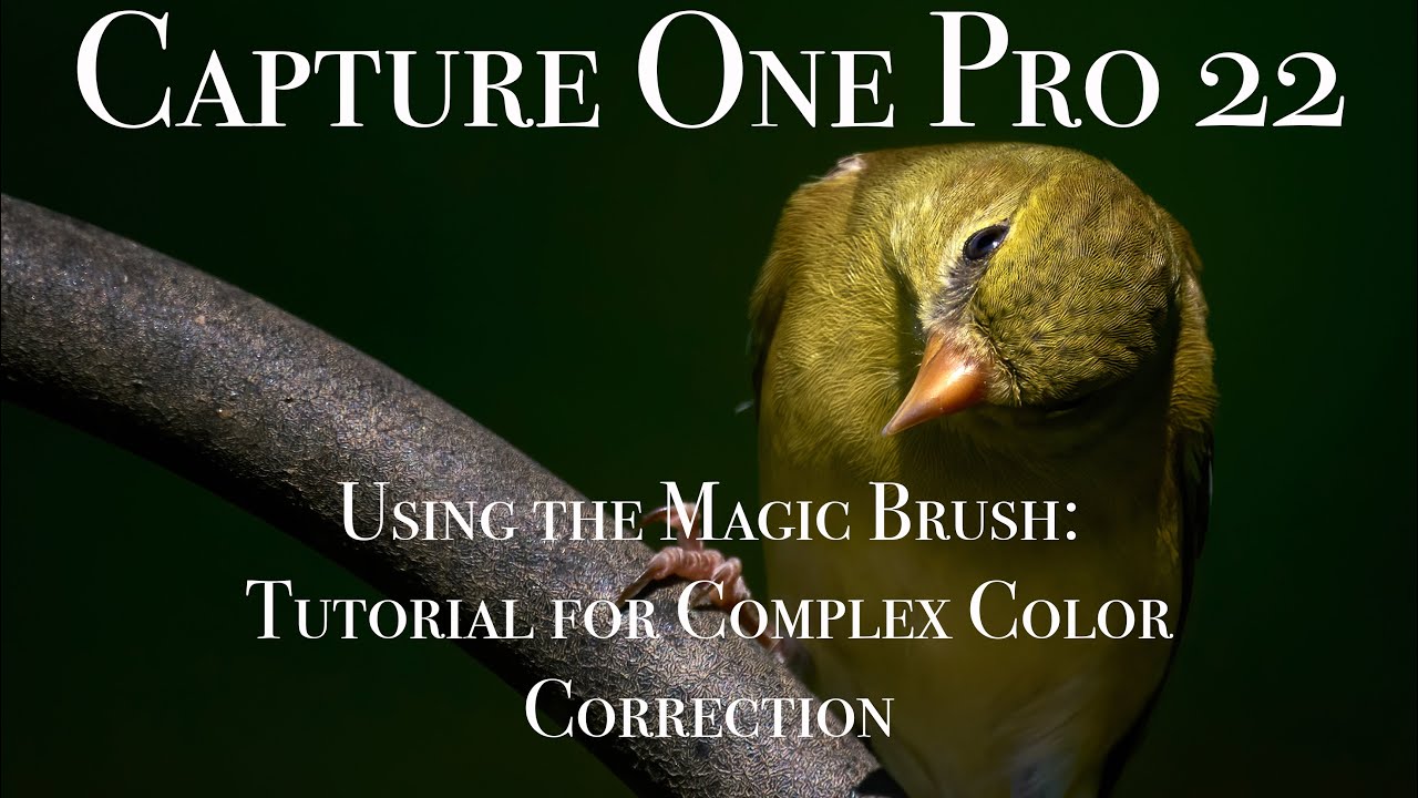 Capture One Magic Brush: Complex Color Correction