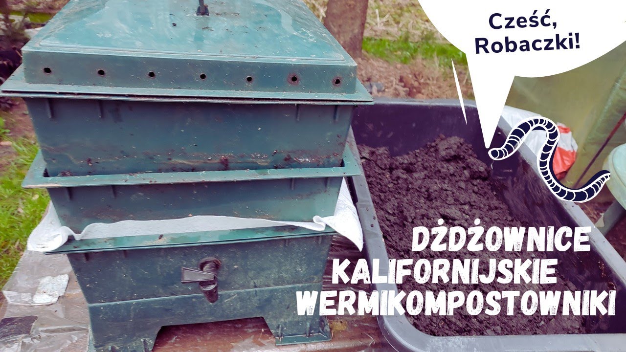 Źle prowadzony wermikompost. Jak sobie poradzić by wrócić do równowagi... węgiel, azot, woda, tlen?