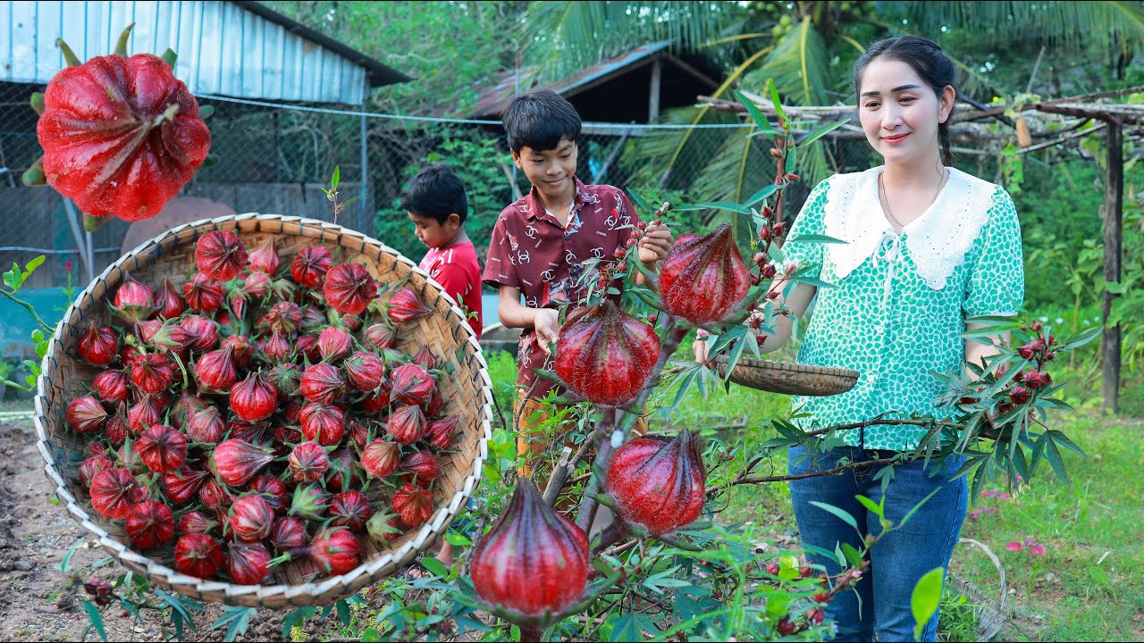Have you ever eaten sour flower like this? Sour fruit soup, sour flower drinking in my homeland