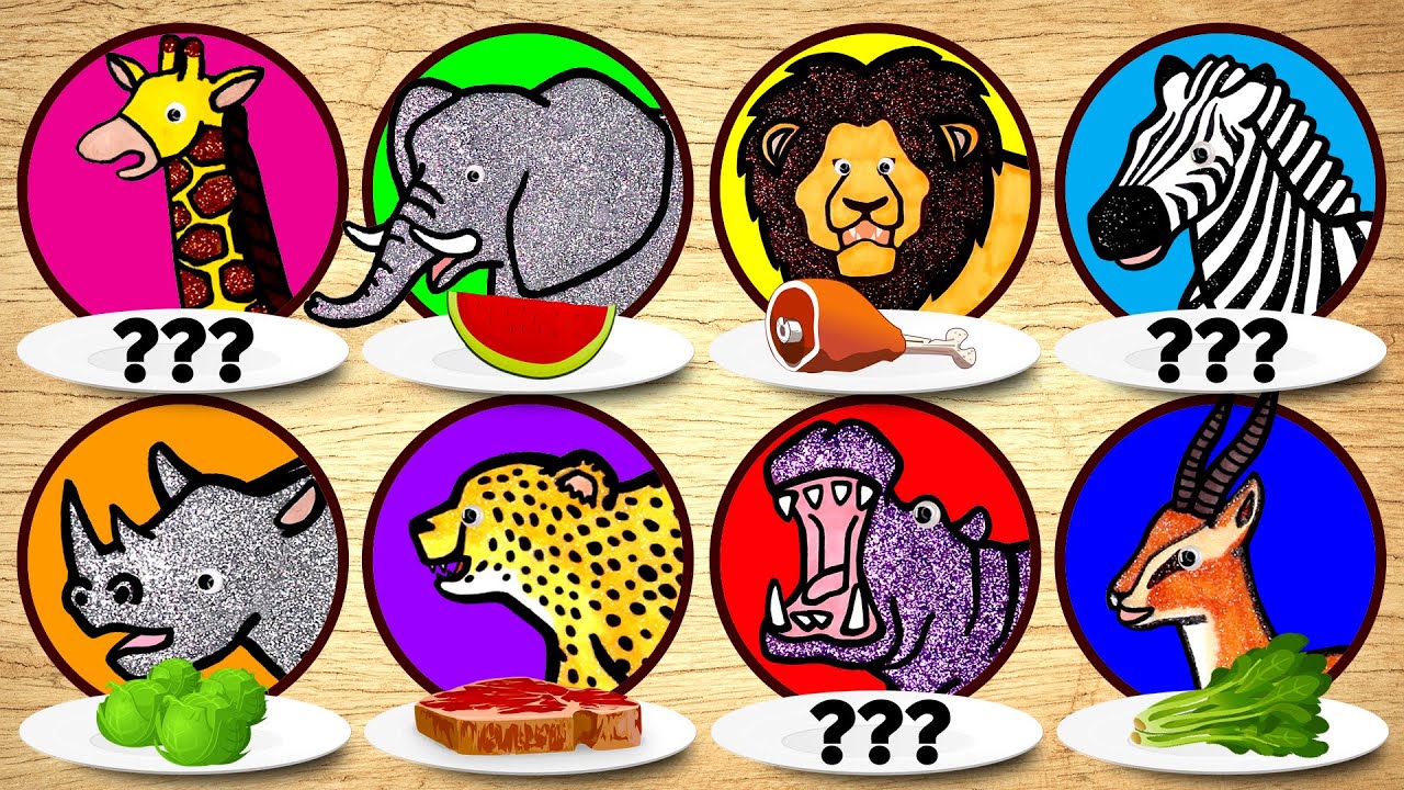 Carnivore vs Herbivore Animals | Learn What Wild Animals Eat