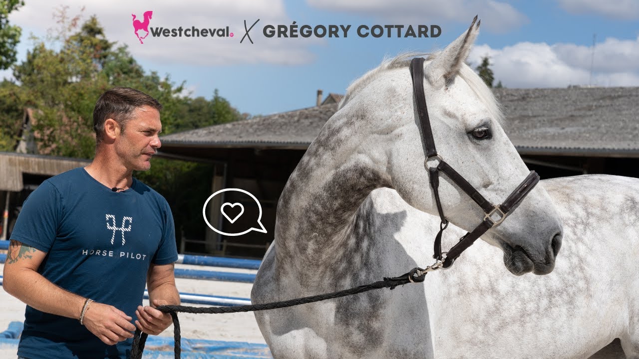 West Cheval X Grégory Cottard - Le portrait de Bibici 👑