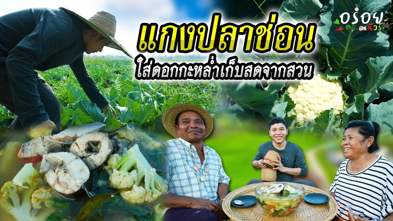 แกงปลาช่อนใส่ดอกกะหล่ำ | อร่อยนัวร์