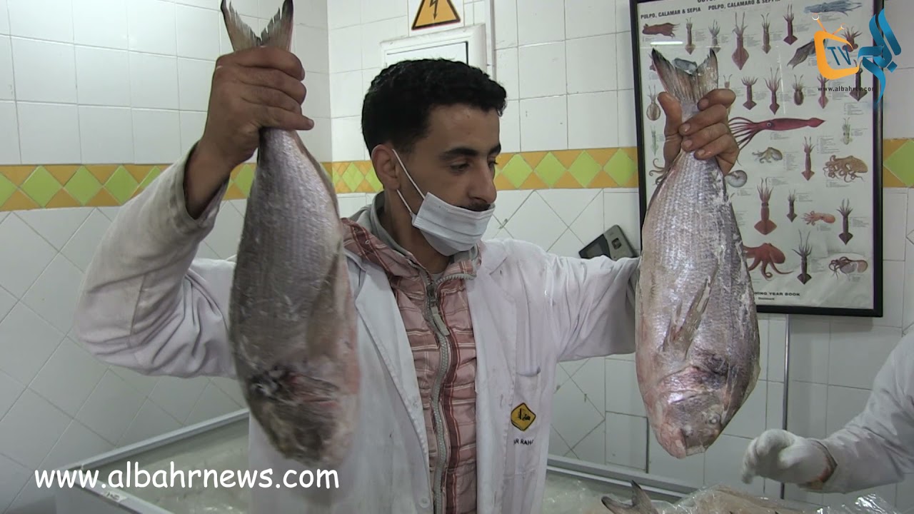 من فريكو دار الراحة بأكادير .. شاهد الأسماك المجمدة التي فتحت شهية المستهلك على أسماك أعالي البحار