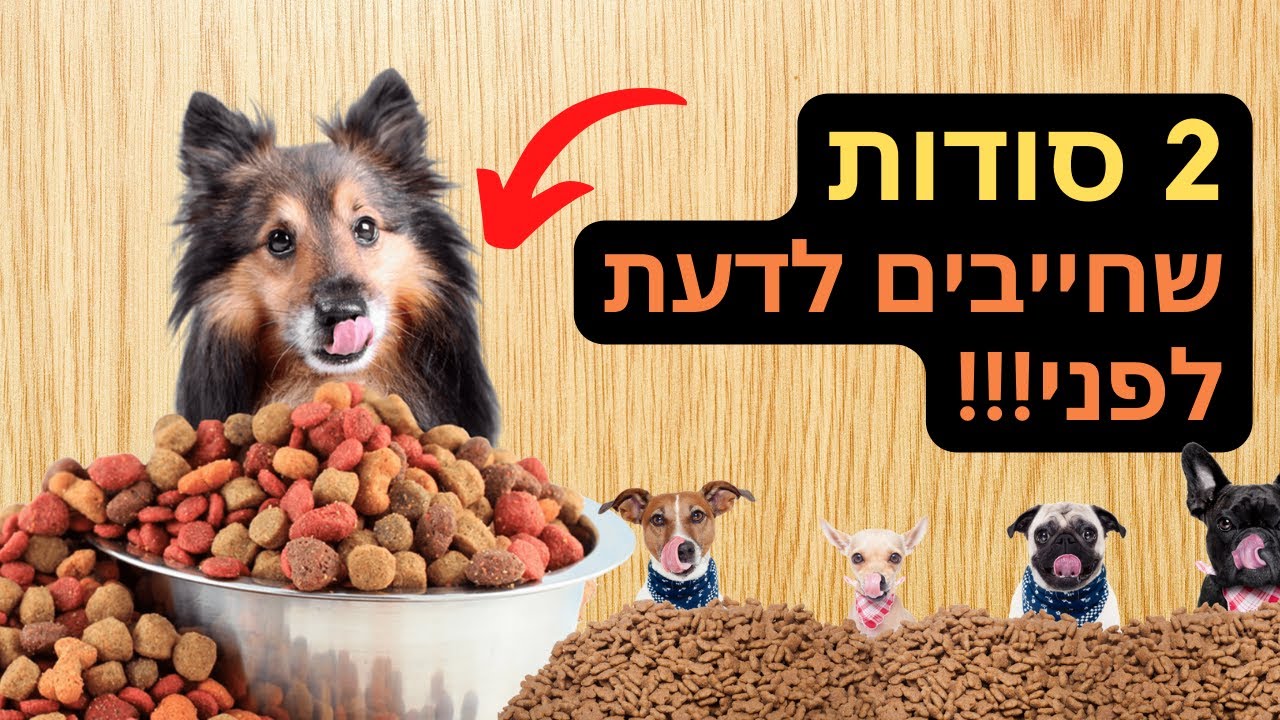 איך לבחור אוכל לכלב!? - מה חברות המזון מנסות להסתיר
