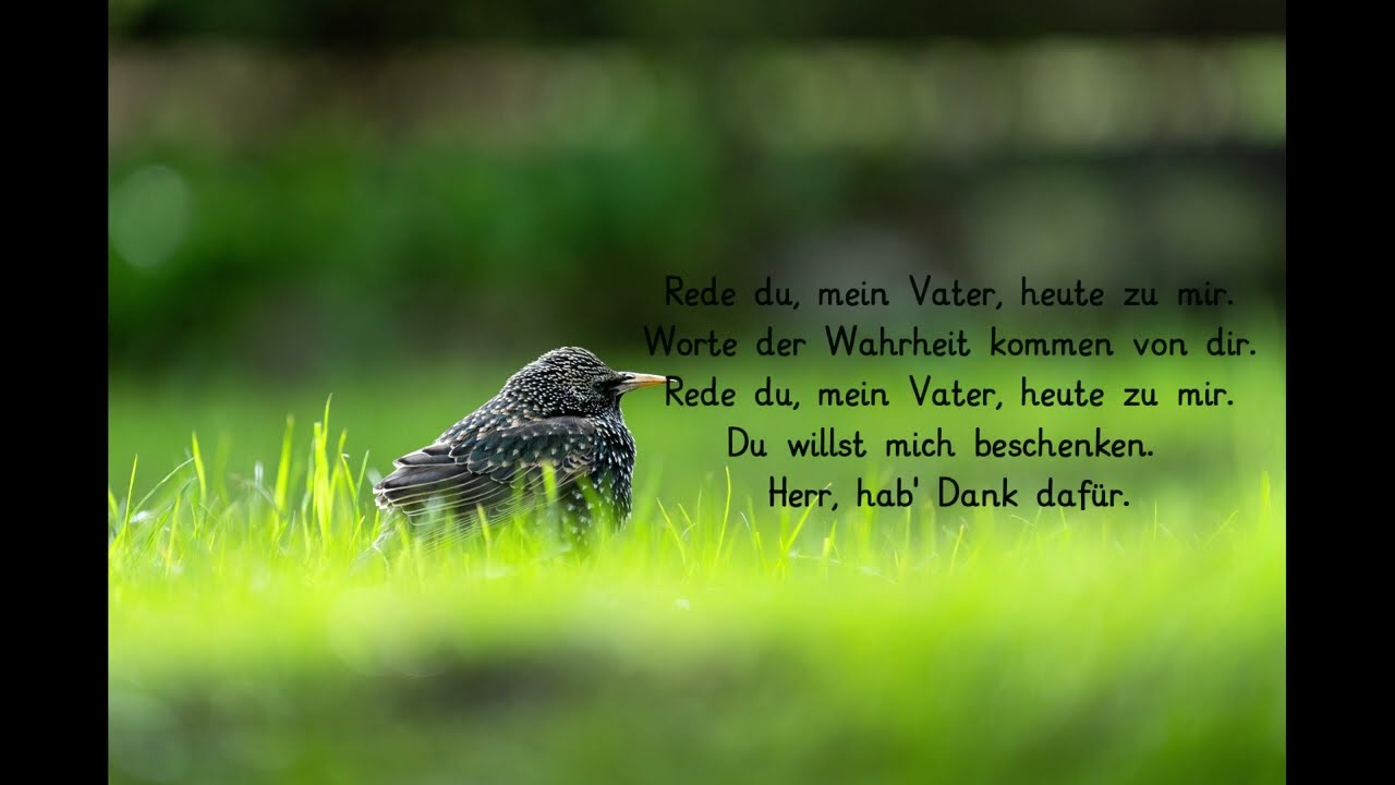 Lyric Session I Stille vor dir, mein Vater 1998 I Benjamin Brecht I Carsten Groß Cover