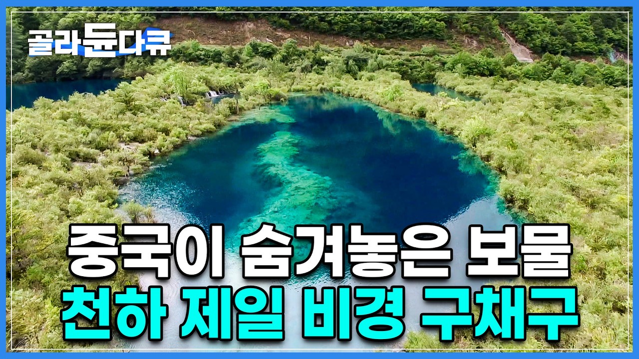 중국 자연 아름다움의 끝판왕│죽기 전 꼭 가봐야한다는 구채구, 영상을 보면 그 이유를 알 수 있다.│중국 천하 제일 비경│세계테마기행│#골라듄다큐