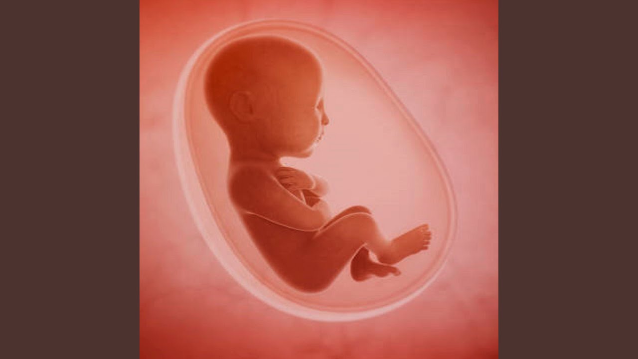 Som do &Uacute;tero Infal&iacute;vel