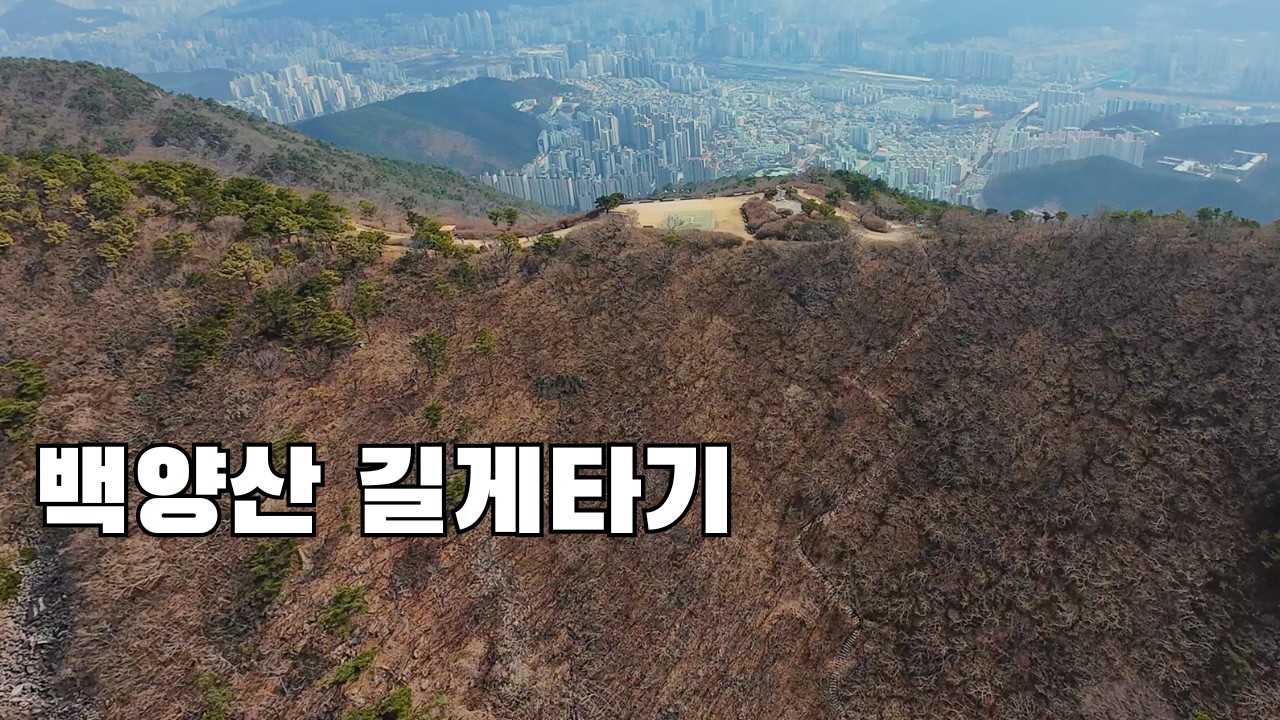 백양산 길게 등산하기 | 구포무장애숲-범방산-운수사-애진봉으로 올라가기