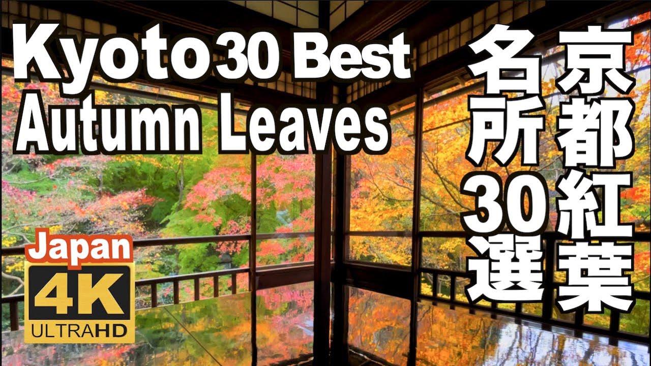 🇯🇵4K 京都の紅葉名所30選 30 Best Autumn Leaves Spots in Kyoto Japan 清水寺 嵐山 永観堂 東福寺 瑠璃光院  建仁寺 観光 旅行 秋 ライトアップ