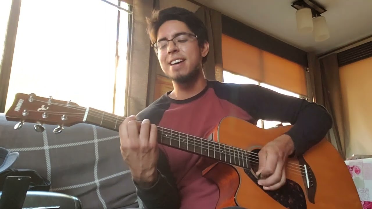 Interpol - Rest My Chemistry ( Acoustic Guitar Cover )