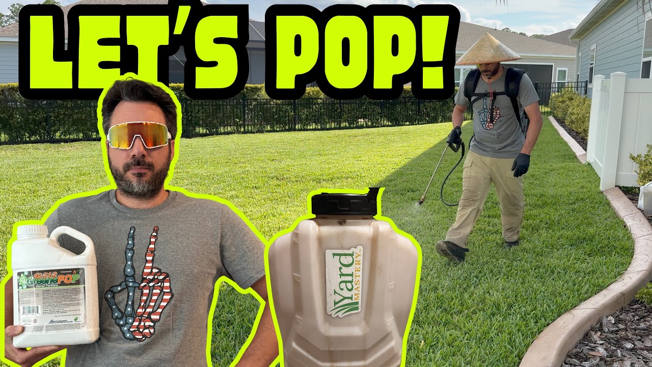 Lawn Bug Killer + Fertilizer Boost 🌱 Kill Pests & Feed Your Grass in One Day!