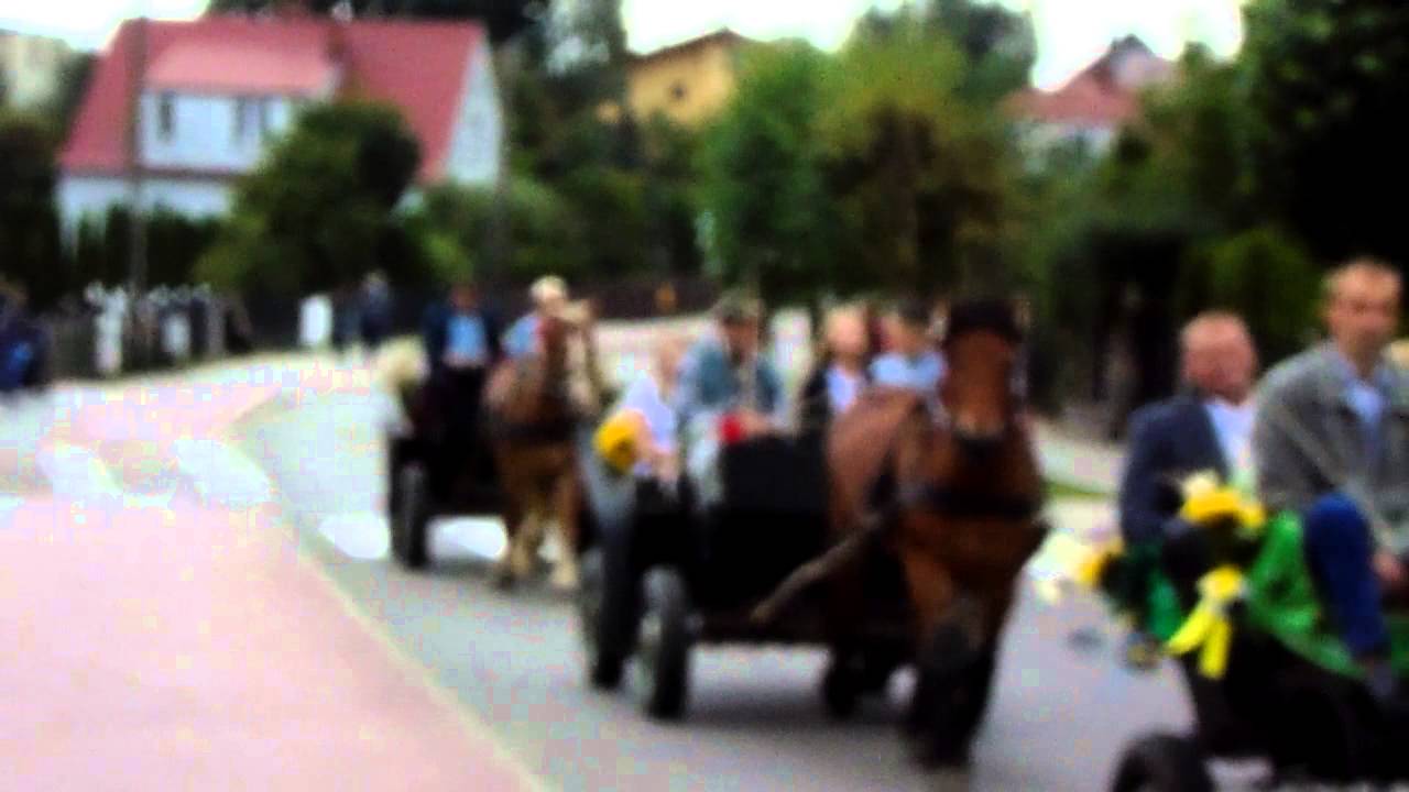 Luzino Dożynki Gminne 2014 Korowód dożynkowy ulicą Młyńską