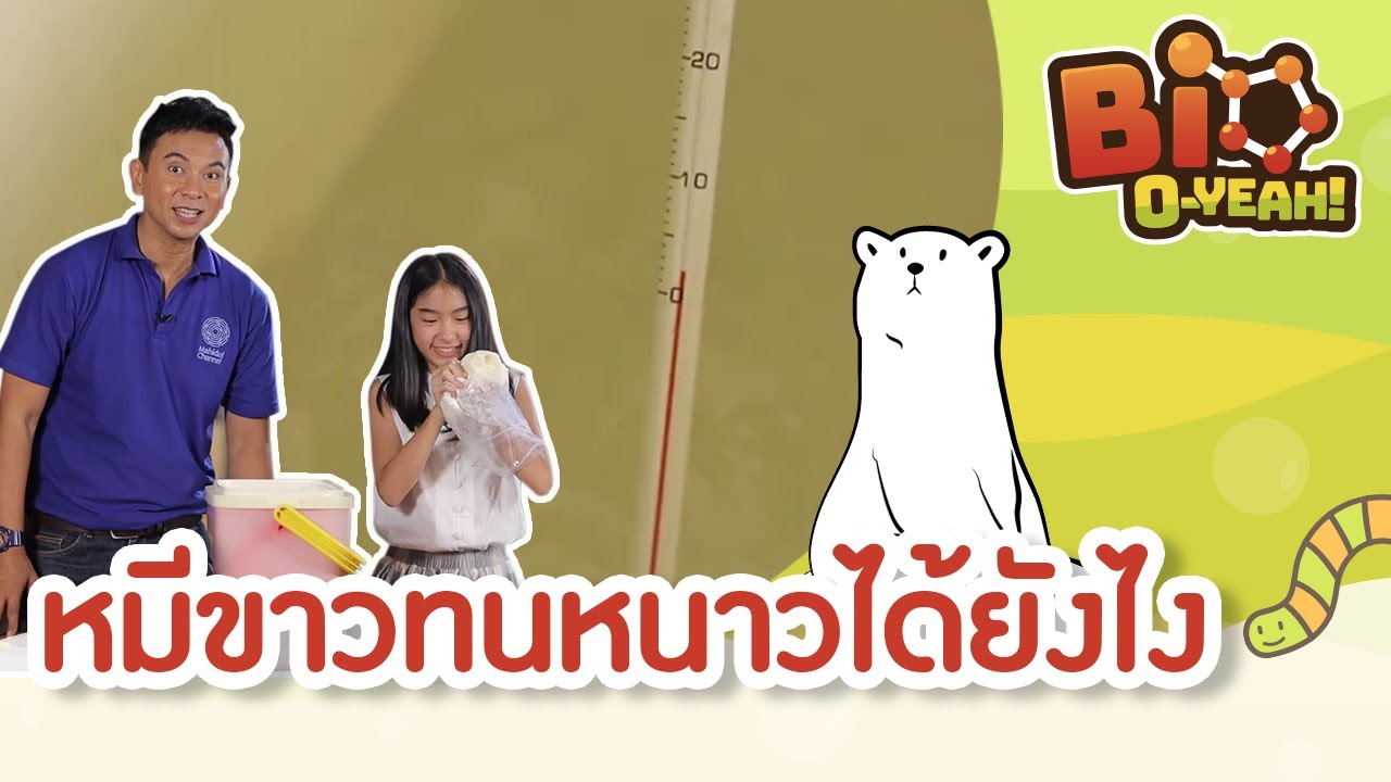 หมีขาวทนหนาวได้ยังไง | Bio O-YEAH