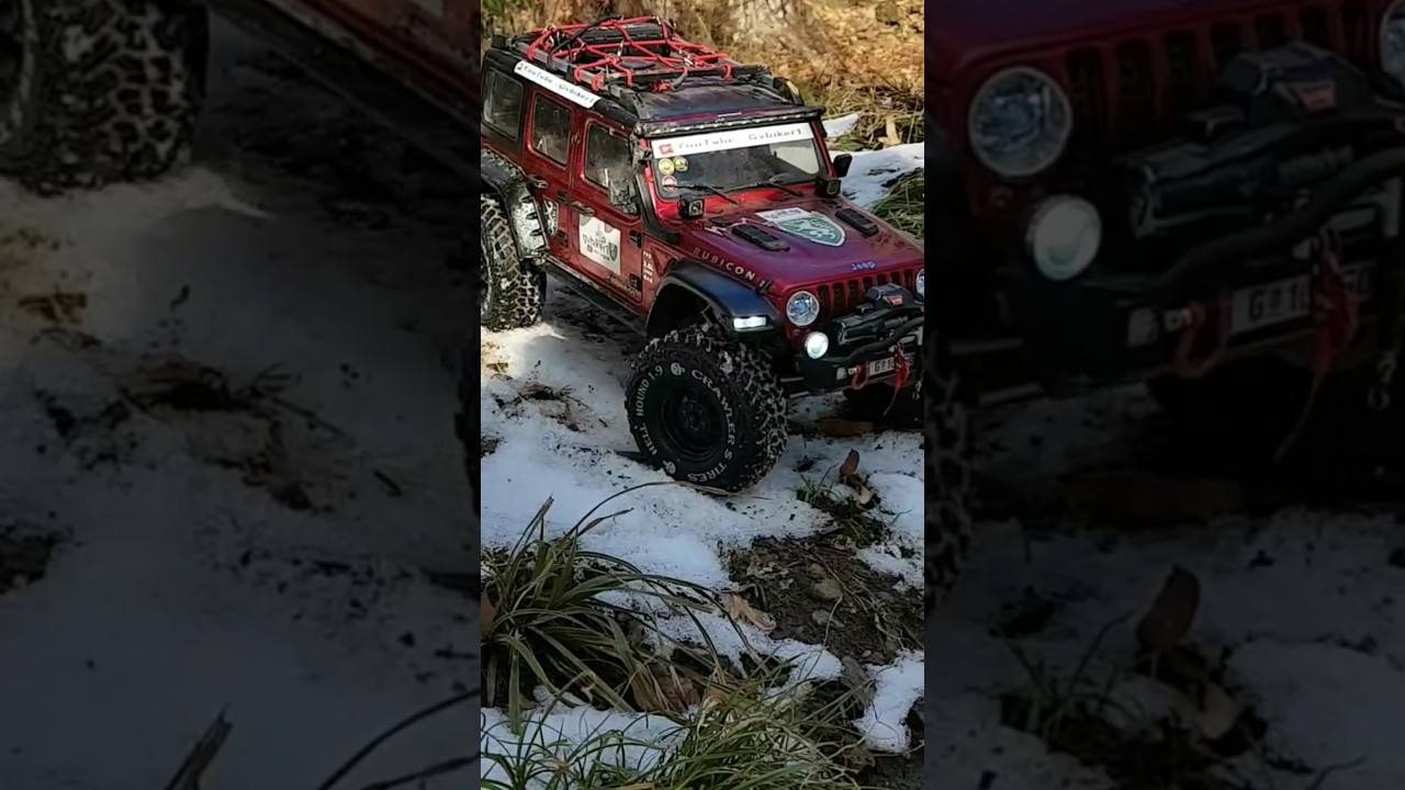 Absima Sherpa im Rosenhain 3 🔔😊🙋‍♂️ 