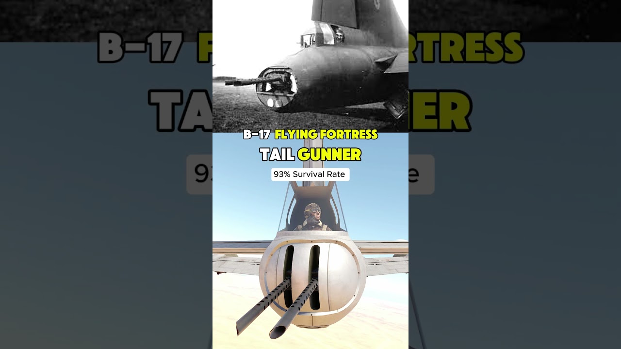 B-17 Crew SURVIVAL RATE!